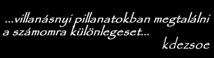 Kürti Dezső fotós honlapja - ... villanásnyi  pillanatokban megtalálni a számomra különlegeset... kdezsoe